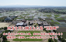 画像をギャラリービューアに読み込む, 【新米】特別栽培米 コシヒカリ 白米 5kg 【かわじま町の天領米】