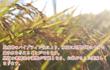 画像をギャラリービューアに読み込む, 【新米】特別栽培米 コシヒカリ 白米 5kg 【かわじま町の天領米】