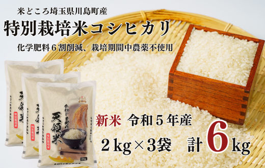 日本割令和3年新米　特別栽培米 玄米10kg ×2減農薬 有機肥料100% コシヒカリ 米/穀物