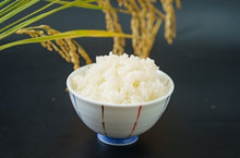 画像をギャラリービューアに読み込む, 【新米】特別栽培米 コシヒカリ 白米 5kg 【かわじま町の天領米】