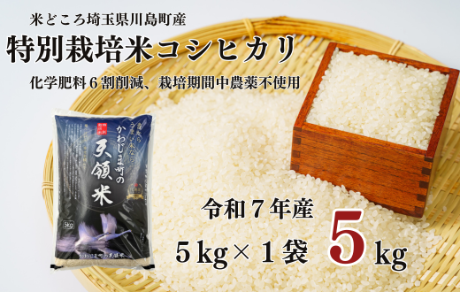 【C24616】英雄の条件('00米) 特別栽培米 コシヒカリ 白米 5kg 【かわじま町の天領米】 – かわじま百貨店