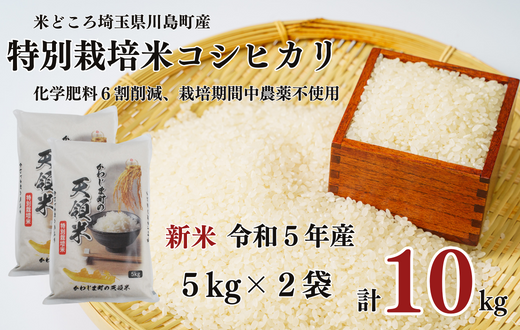 特別栽培米 コシヒカリ 白米 10kg （5kg×2袋） 【かわじま町の天領米】 食味値80以上 栽培期間中農薬不使用 有機肥料 令和5年産  2023年産 米 コメ 安心 安全 減農薬 埼玉県認証 埼玉県 川島町