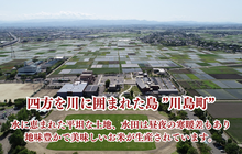 画像をギャラリービューアに読み込む, 【新米】特別栽培米 コシヒカリ 白米2kg 【かわじま町の天領米】