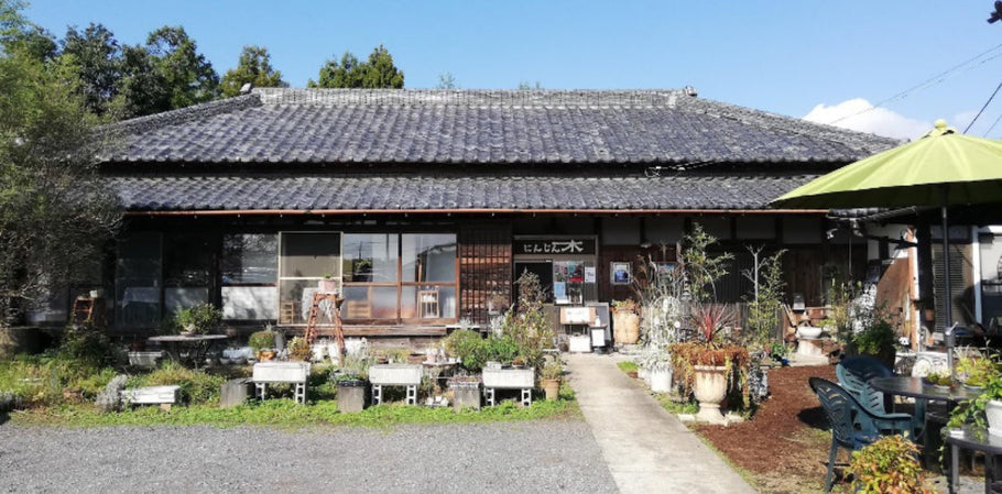 毎日お客様が、町内・町外から訪れる ギャラリー併設の素敵な古民家カフェレストラン、にんじん木のご紹介