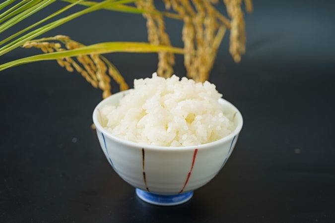 特別栽培米 コシヒカリ 白米 10kg （5kg×2袋） 【かわじま町の