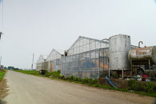 画像をギャラリービューアに読み込む, 【数量限定１０個！】川島町で採れた新鮮大玉生にんにく1kg
