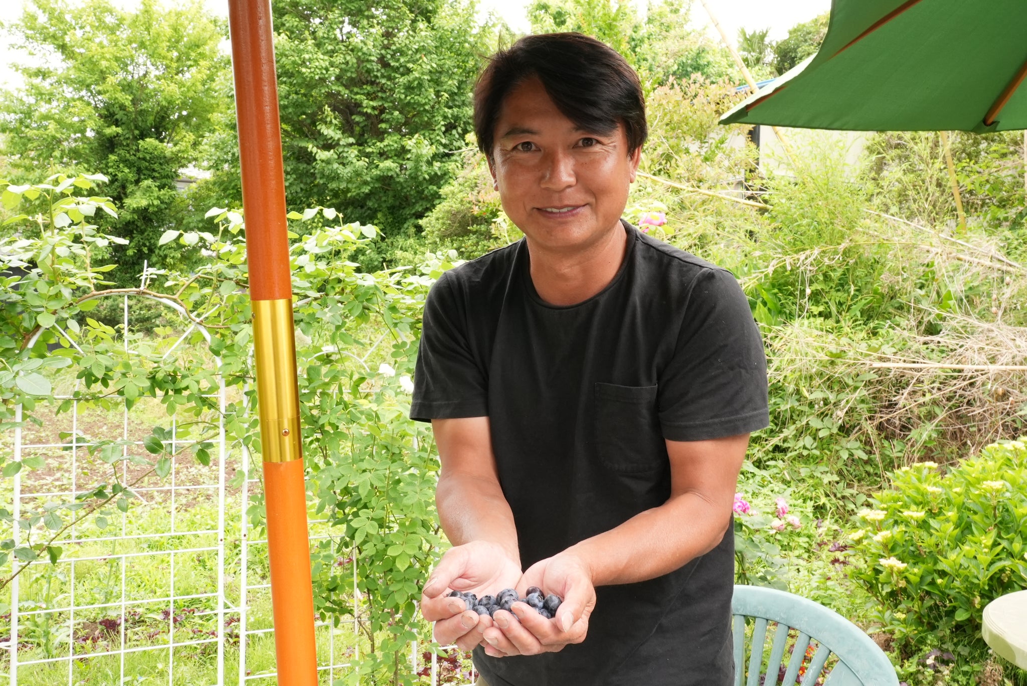 旬のブルーベリー詰め合わせセット – かわじま百貨店